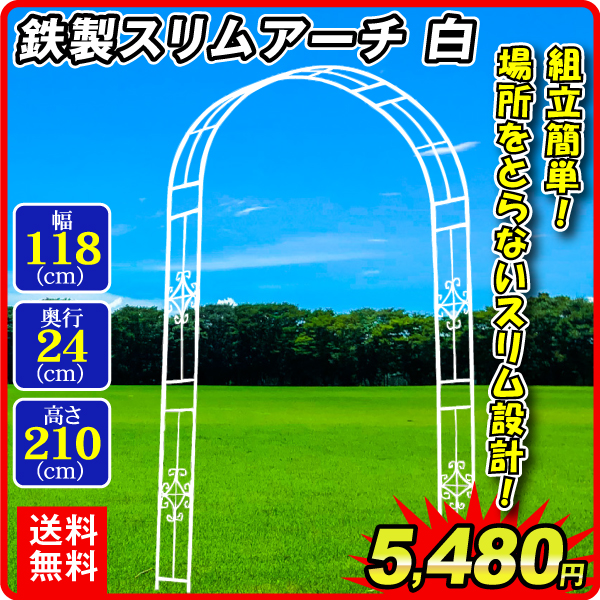 鉄製スリムアーチ白　1個 アーチ ガーデンアーチ ローズアーチ バラアーチ アイアン ガーデニング 庭 玄関 門 フラワー つるバラ 薔薇