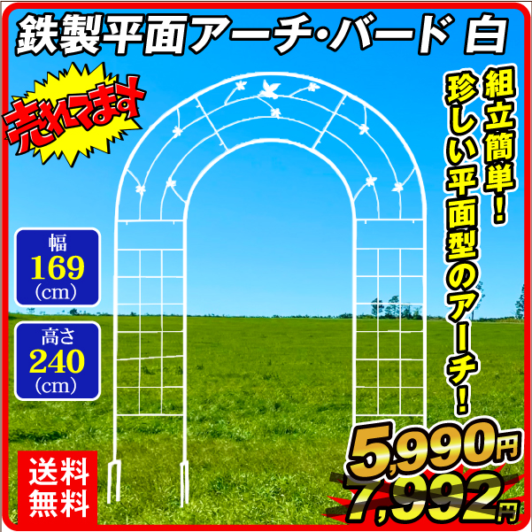 鉄製平面アーチ・バード 白 1個 アーチ ガーデンアーチ ローズアーチ バラアーチ アイアン ガーデニング 庭 玄関 門 フラワー つるバラ 薔薇（特別カタログ）