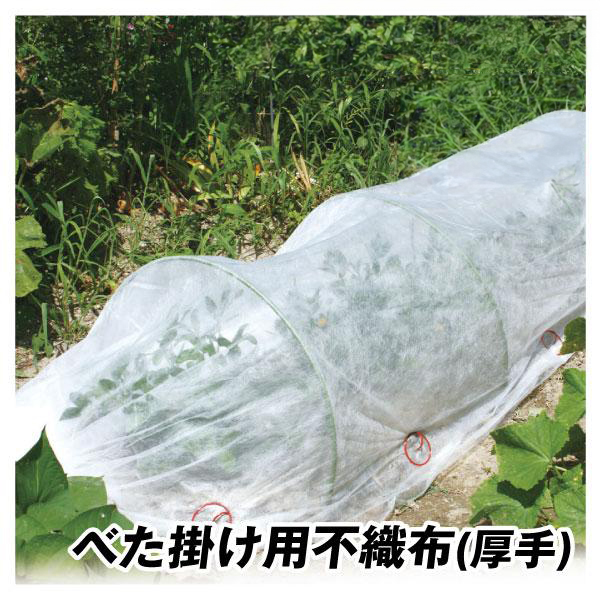 愛栽シートB（厚手）　園芸用 不織布シート ホワイト 霜よけ 家庭菜園 ガーデニング 霜対策 防寒カバー 防虫 防鳥 保温 遮光 農業 植物保護 不織布