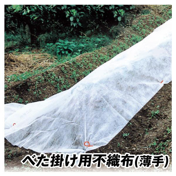 愛栽シートA(薄手)　園芸用 不織布シート ホワイト 霜よけ 家庭菜園 ガーデニング 霜対策 防寒カバー 防虫 防鳥 保温 遮光 農業 植物保護 不織布