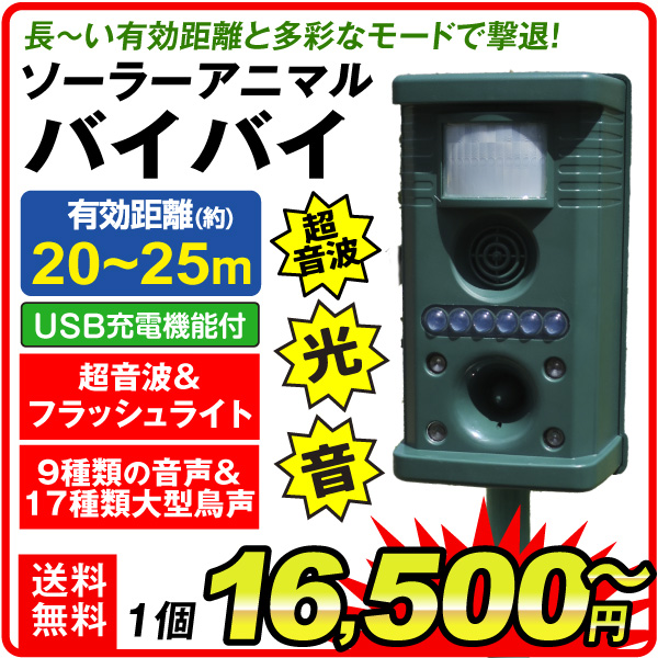 バイバイ