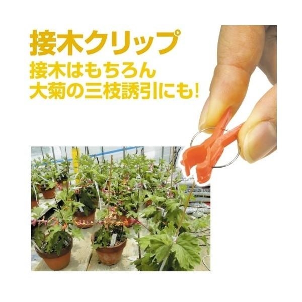 接木クリップ 接木フレンド 200個1組