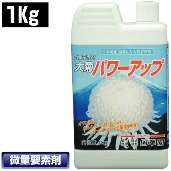 大菊パワーアップ 1kg 1本