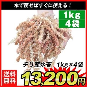 チリ産 水苔 1kg 4袋1組(合計約4kg)