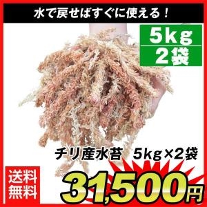 チリ産 水苔 5kg 2袋1組(合計約10kg)