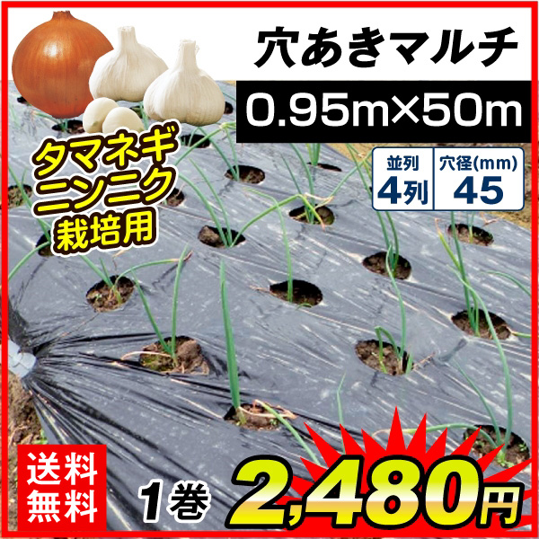 タマネギ・ニンニク用穴あきマルチ 4列45（0.95×50m） 1巻