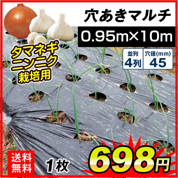 使い切りマルチ タマネギ・ニンニク用穴あきマルチ 4列45(0.95×10m) 1枚