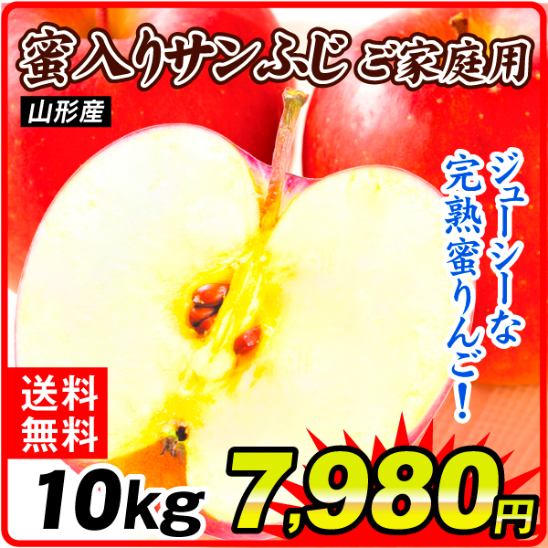 りんご 10kg ご家庭用 蜜入りサンふじ 山形産 送料無料　食品【12月上旬より出荷予定】