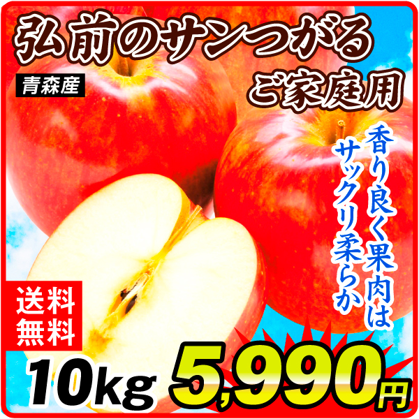 りんご 10kg 大特価  弘前のサンつがる 青森産 送料無料 食品