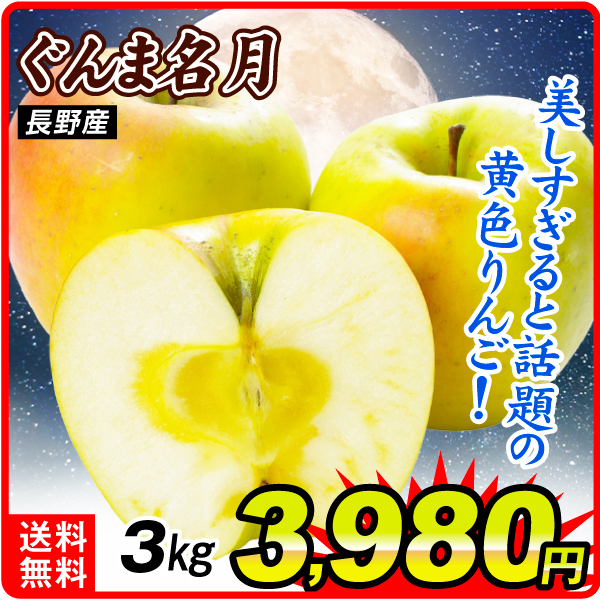 りんご 3kg ご家庭用 ぐんま名月 長野産 送料無料 食品