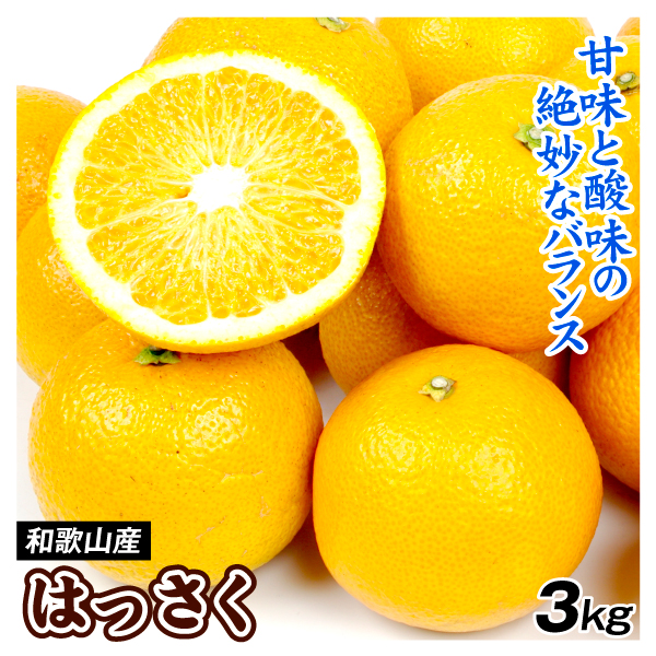 みかん 和歌山産 はっさく 3kg サイズ混合 送料無料 食品