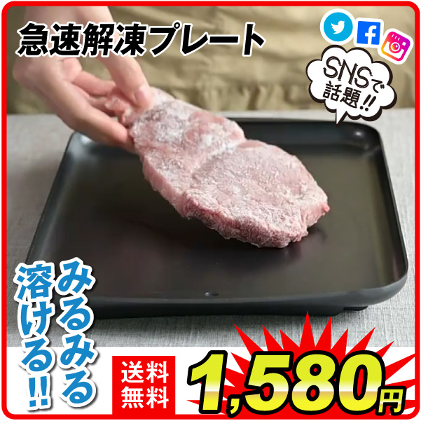 急速解凍 プレート　1個 解凍 キッチン 放熱 魚 刺身 肉 冷凍食品 エコ 時短 家事 調理器具 急速解凍プレート