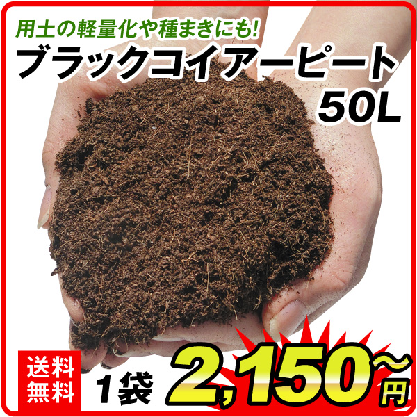 ブラックコイアーピート 50L