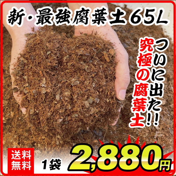 新最強腐葉土 65L 1袋