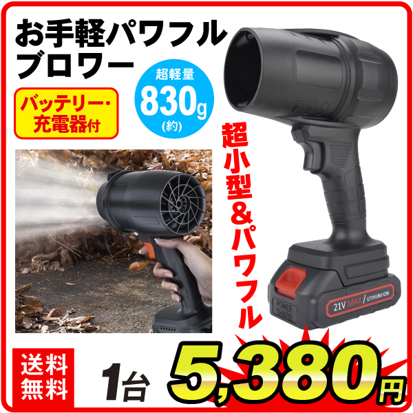 お手軽パワフルブロワー　1個