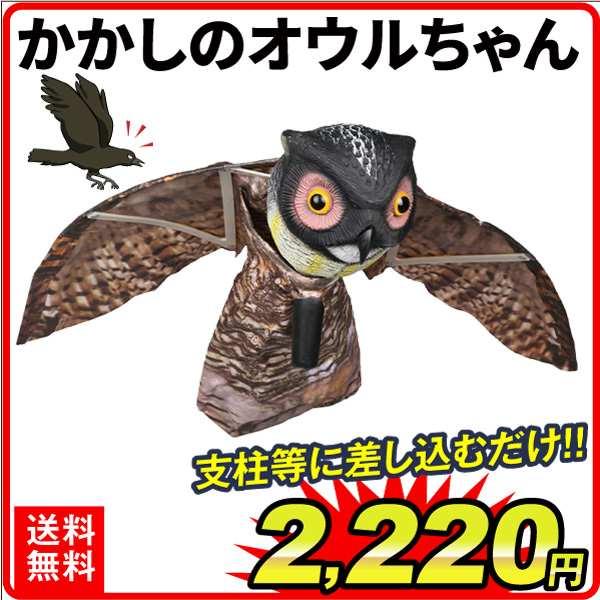 かかしのオウルちゃん