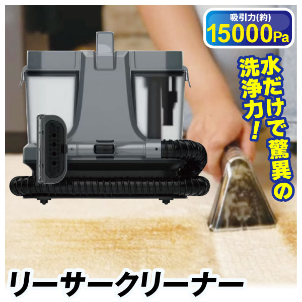 リーサークリーナー 1個