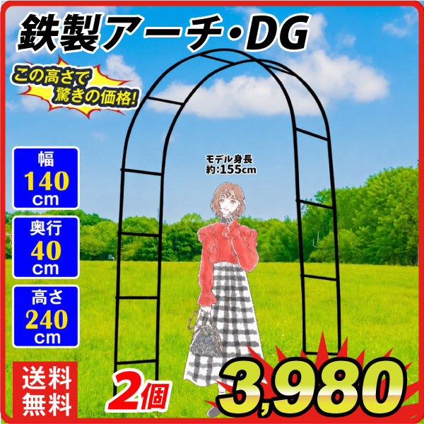 鉄製アーチDG ダークグリーン　2個 アーチ ガーデンアーチ ローズアーチ バラアーチ アイアン ガーデニング 庭 玄関 門 フラワー つるバラ 薔薇