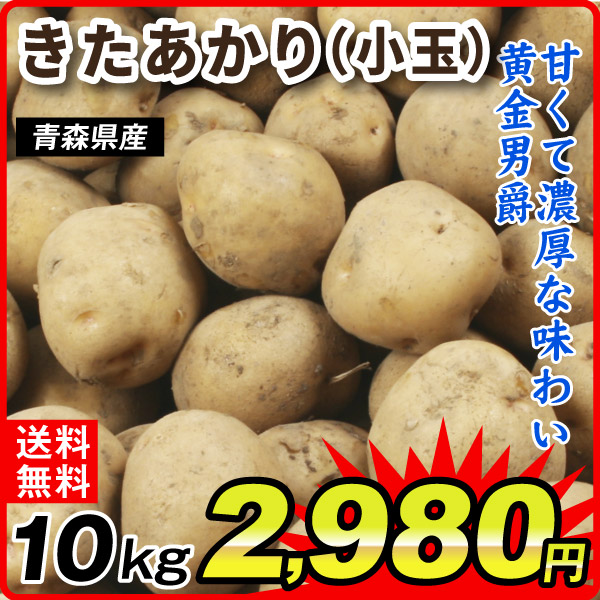 じゃがいも 10kg きたあかり 青森産 まるごとキタアカリ（Sサイズ）1箱 送料無料 芋 野菜 食品 国華園