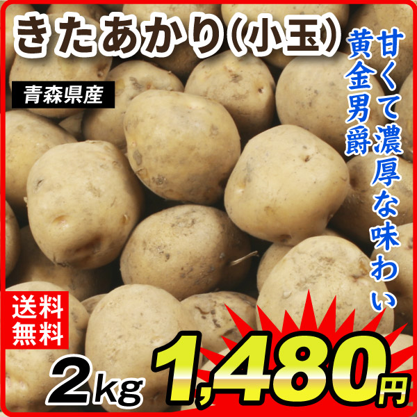 じゃがいも 2kg きたあかり 青森産 まるごとキタアカリ（Sサイズ）1箱 送料無料 芋 野菜 食品 国華園