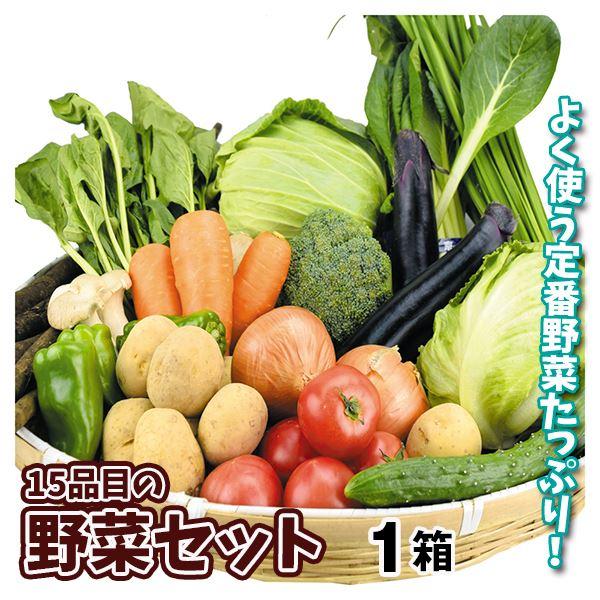 厳選！15品目の野菜セット 冷蔵便 送料無料 食品