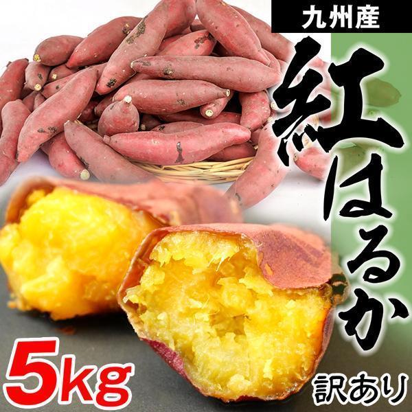 【2025年1月発送】さつまいも 5kg 紅はるか 九州産 訳あり 送料無料 食品