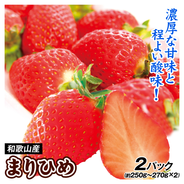 いちご まりひめ 約500g（250～270g×2パック） 和歌山産 ご家庭用 送料無料 食品