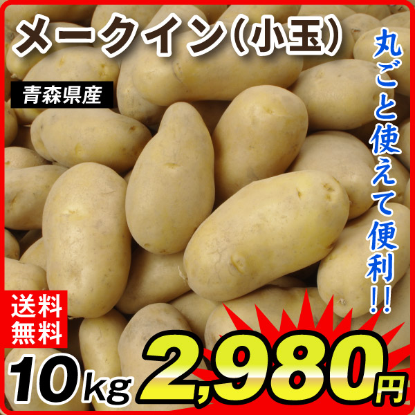じゃがいも 10kg 青森産 メークイン【小玉】 送料無料 食品