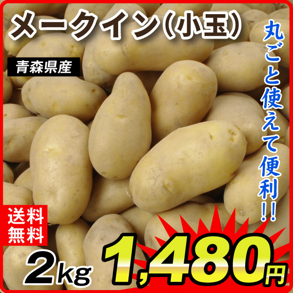 じゃがいも 2kg 青森産 メークイン【小玉】 送料無料 食品