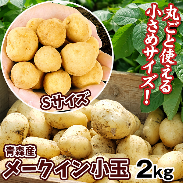 じゃがいも 2kg 青森産 メークイン【小玉】 送料無料 食品