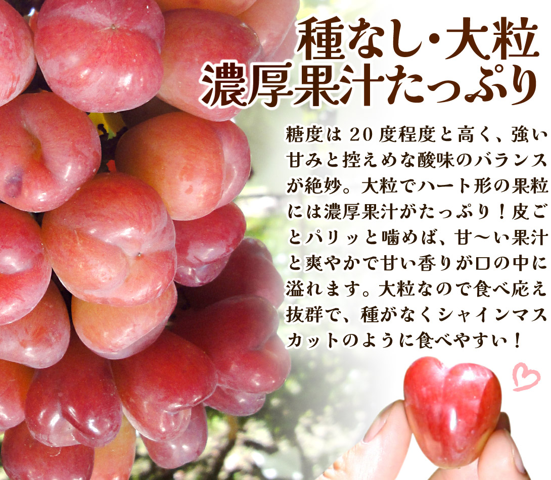 国華園オンラインショップ / ぶどう 500g 1房 マイハート 山梨産 種