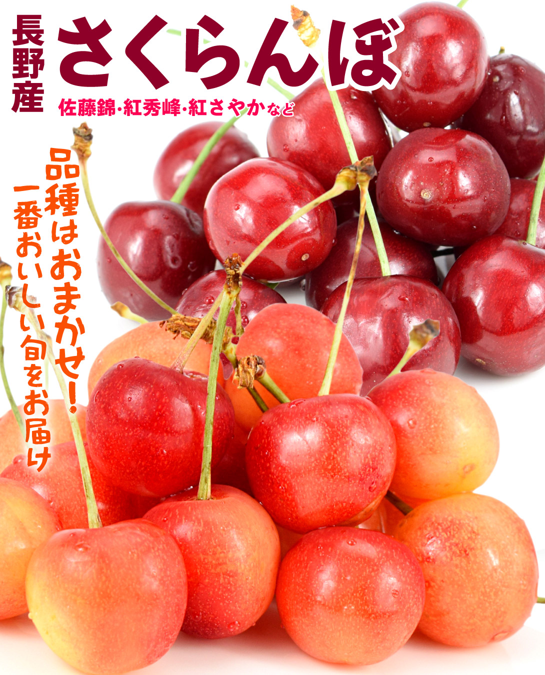 国華園オンラインショップ / さくらんぼ 600g （200g×3パック） 長野産