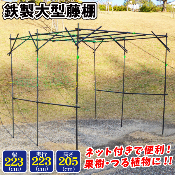 鉄製大型藤棚
