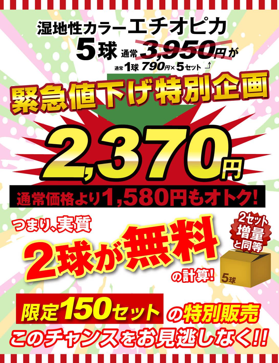 エチオピカ緊急値下げ