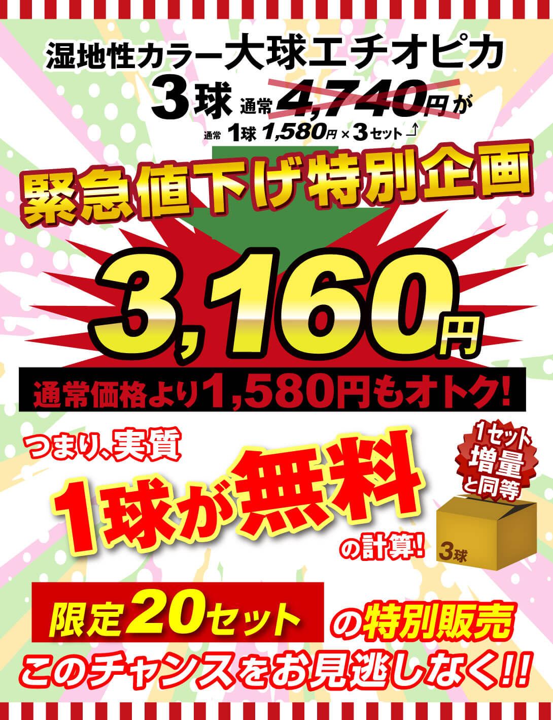 エチオピカ緊急値下げ