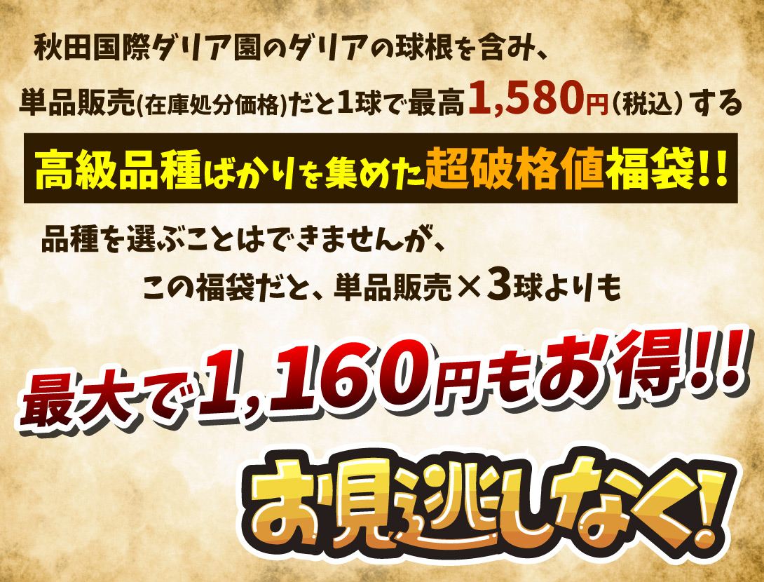 お見逃しなく