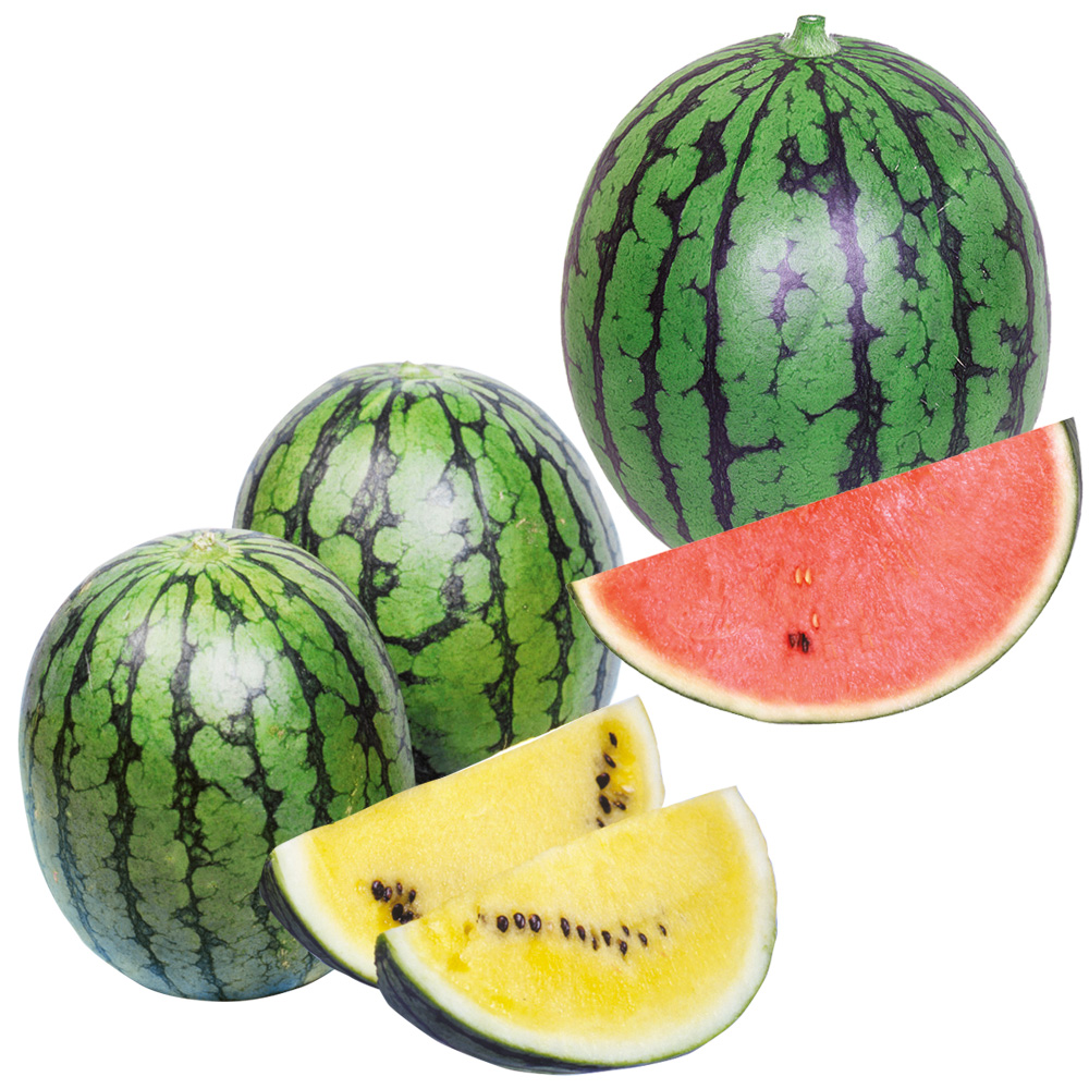 接木野菜苗 小玉スイカ お買得こだまスイカセット 2種4株