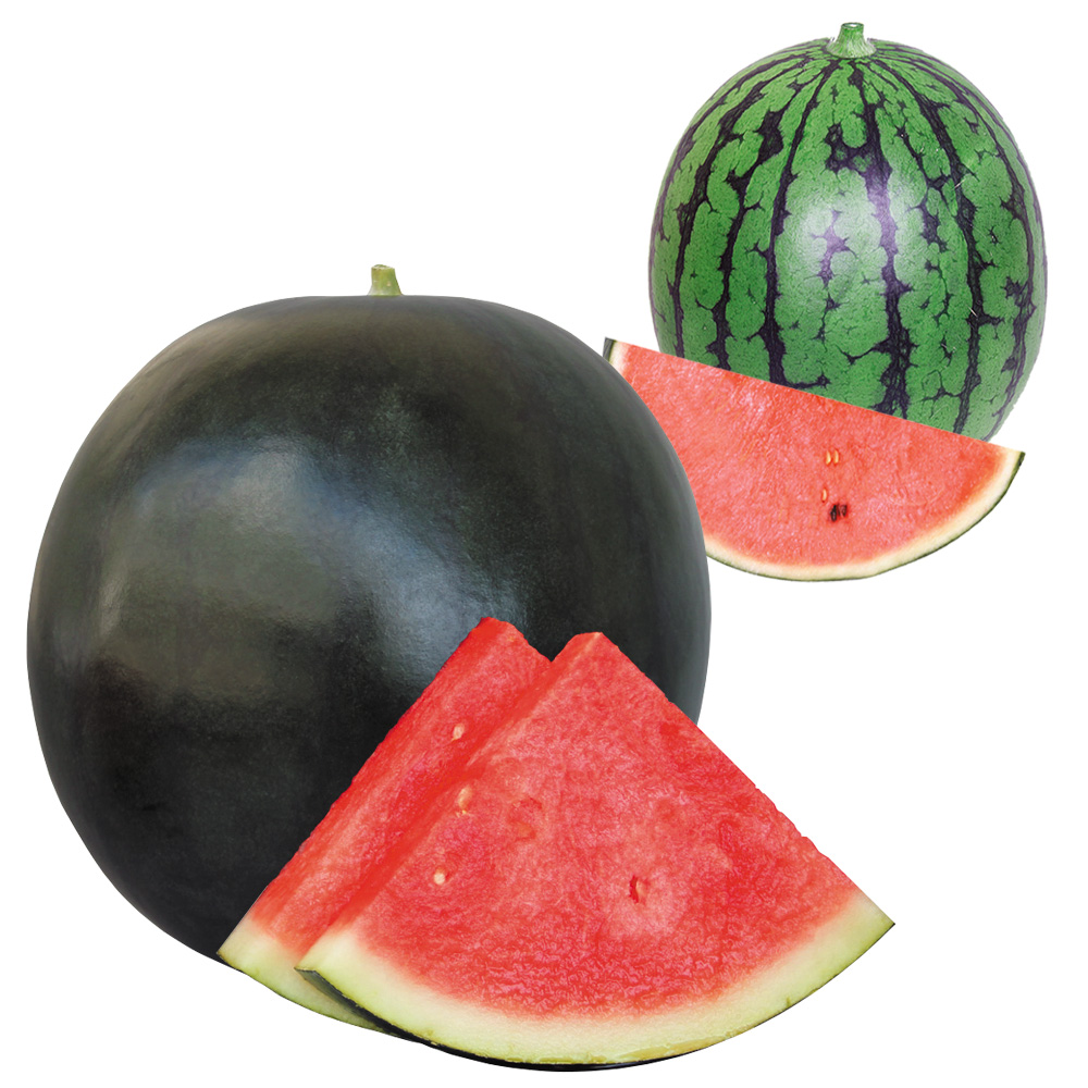 接木野菜苗 種なしスイカ たべほうだい黒王子＆受粉用苗セット 2種4株