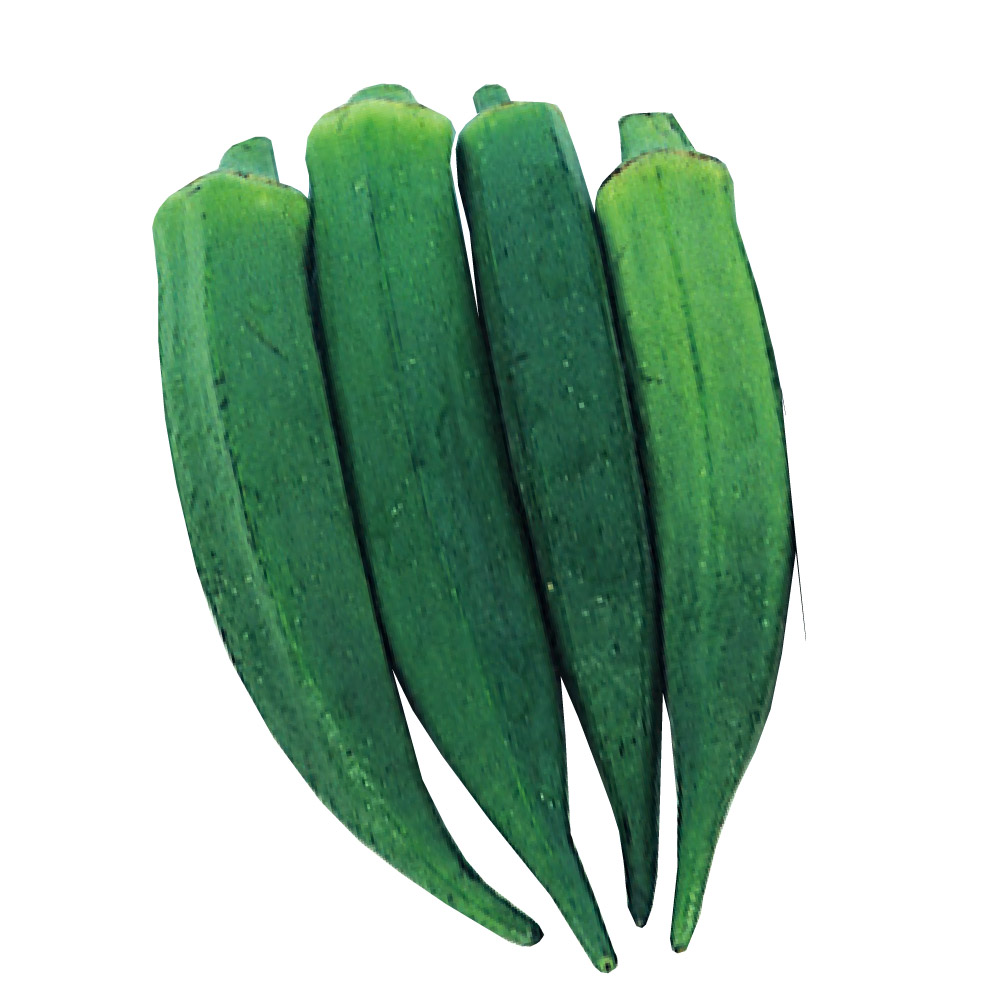 種 野菜たね オクラ（品種名：みやこ五角） 1袋（10ml）