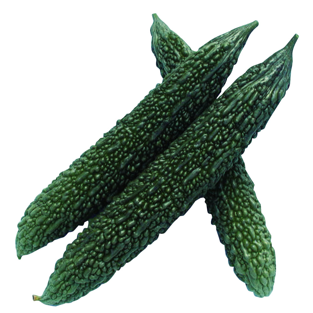 種 野菜たね ゴーヤ グリーン長レイシ 1袋（8ml）