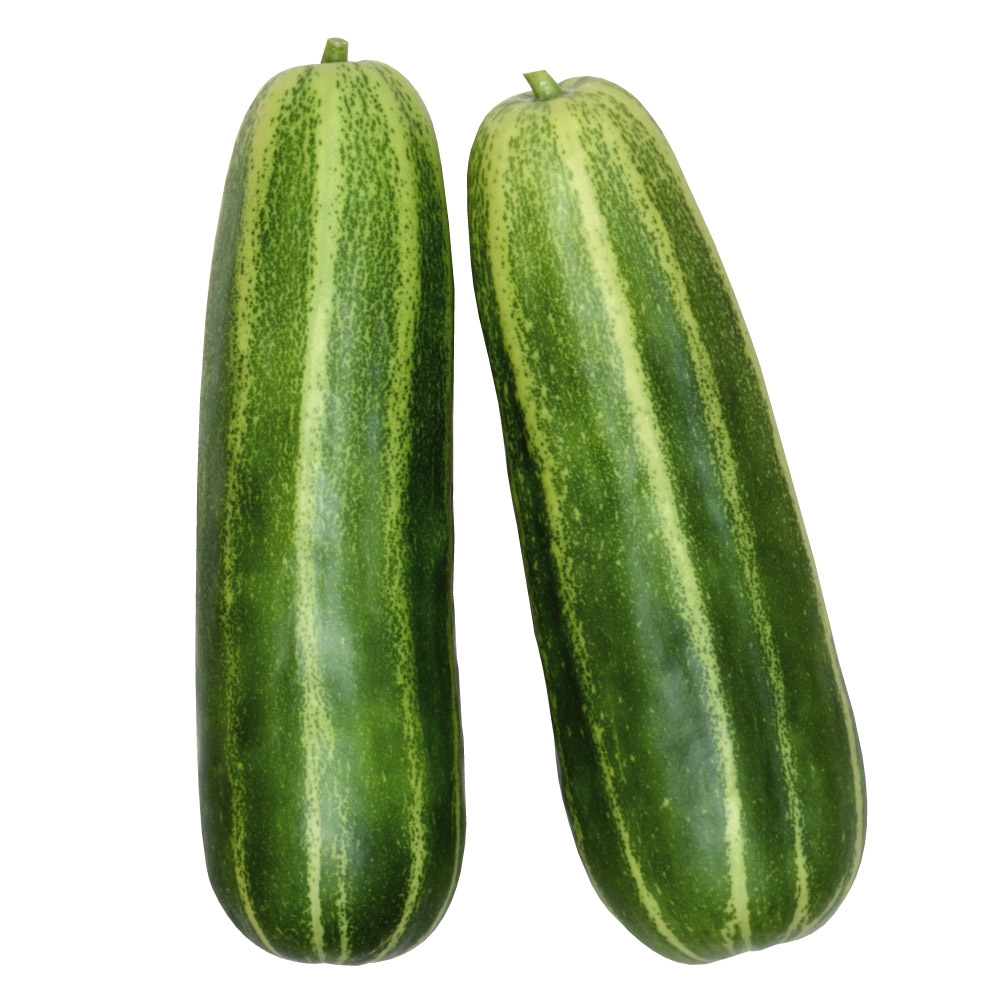 種 野菜たね ウリ 黒門青縞瓜 1袋（2ml）
