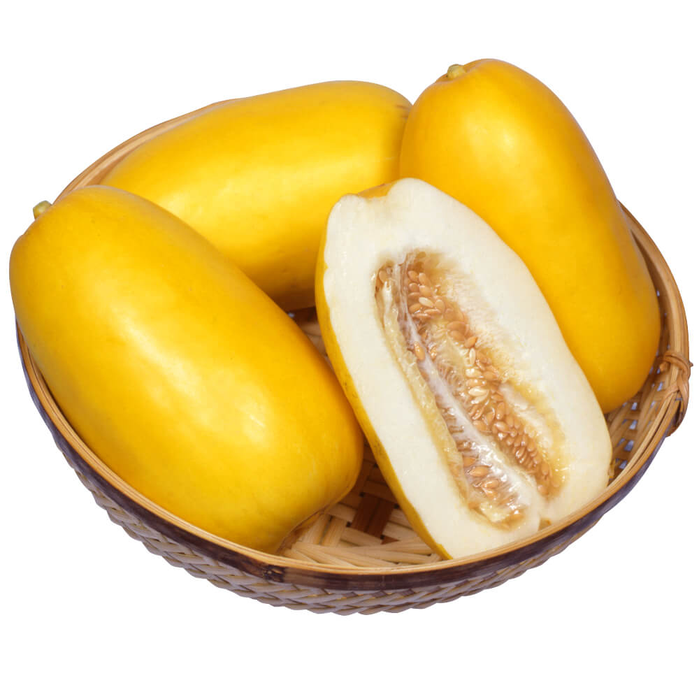 種 野菜たね マクワウリ F1黄金まくわ 1袋（1ml）
