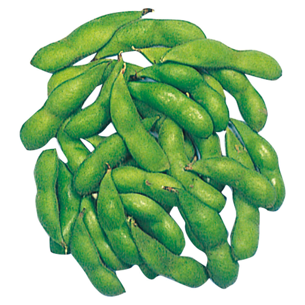 種 野菜たね 枝豆 香里 1袋（40ml）