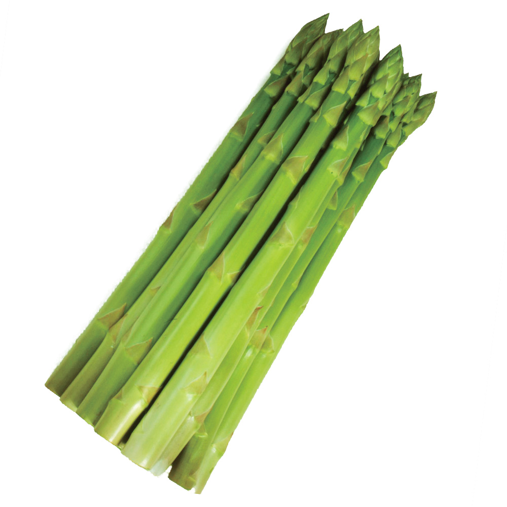種 野菜たね 健康野菜 F1極早生アスパラ 1袋（2ml）