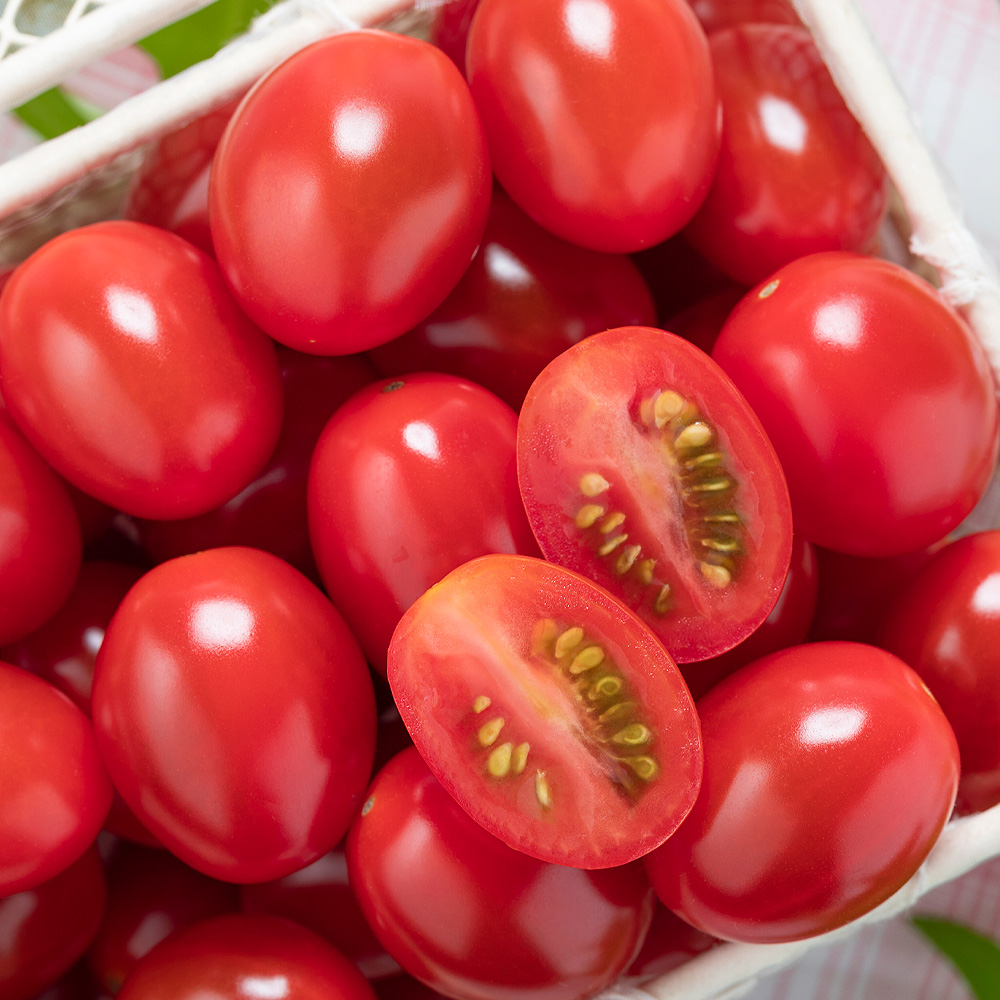 種 野菜たね トマト F1千恋R（品種登録出願中） 1袋（8粒）