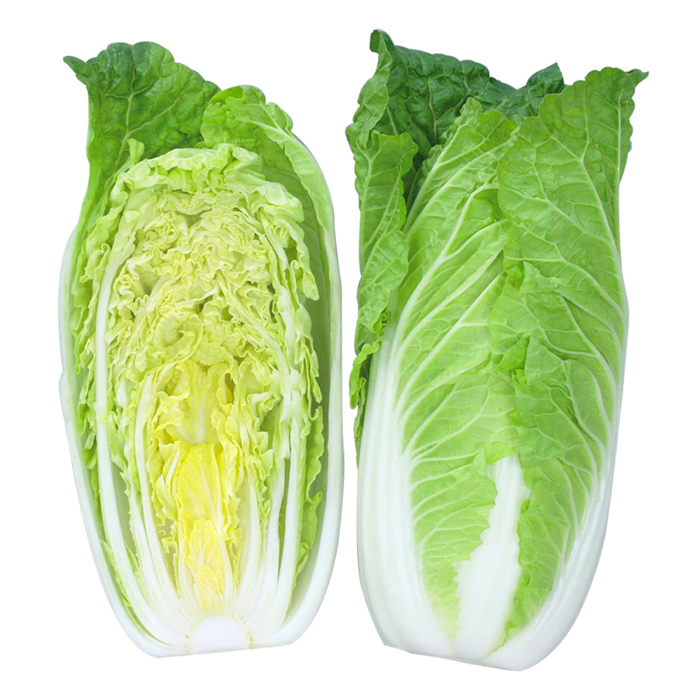 種 野菜たね プランタ菜園向き 白菜 F1タイニーシュシュ（R） 1袋（1ml）