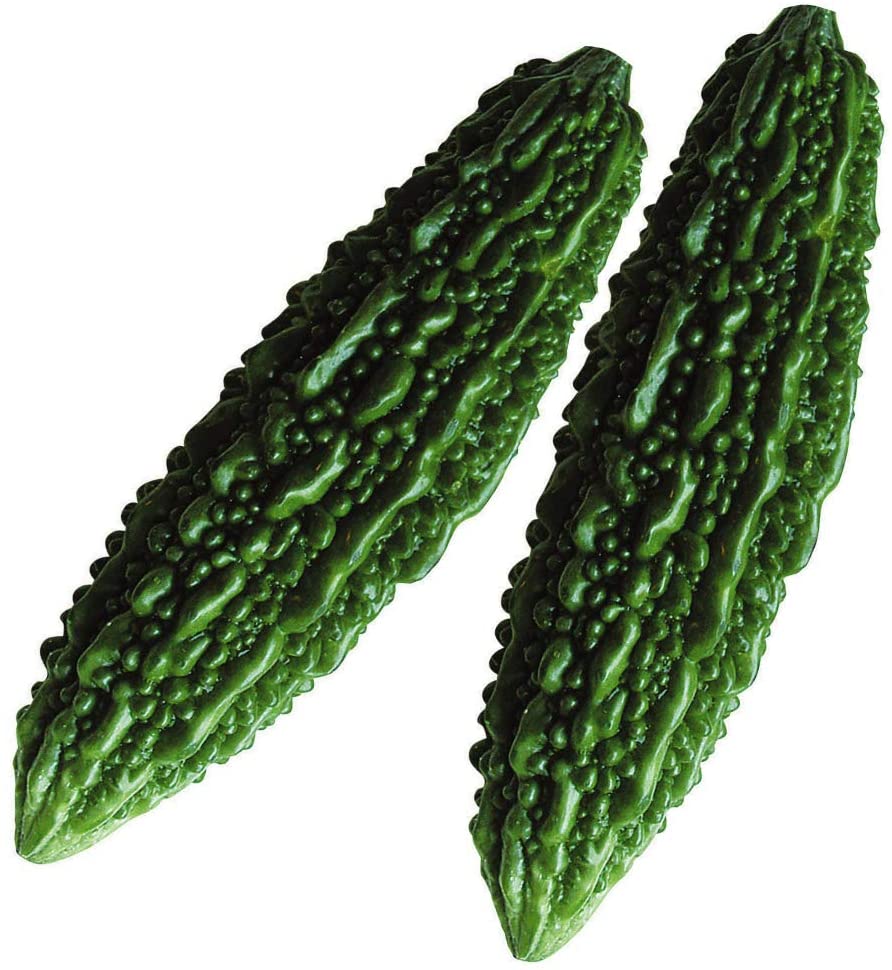 種 野菜たね ゴーヤ 願寿苦瓜 1袋（8ml）