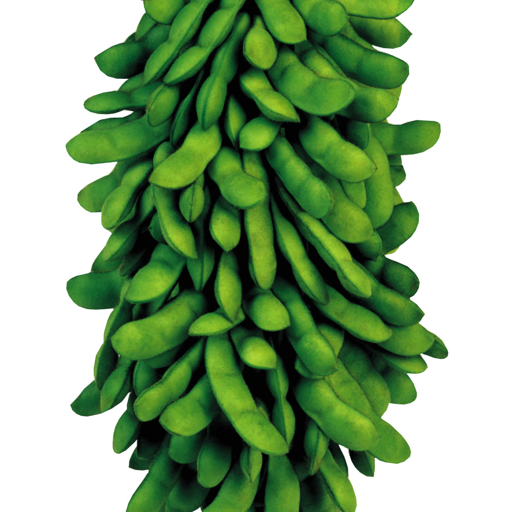 種 野菜たね エダマメ 甘ちゃん茶豆 1袋（30ml）