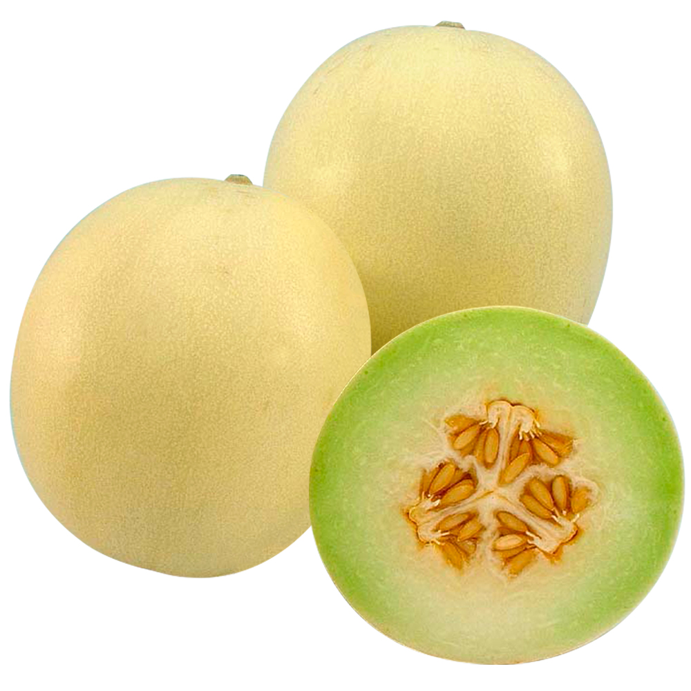 種 野菜たね メロン F1おてがるロジたん 1袋（8粒）