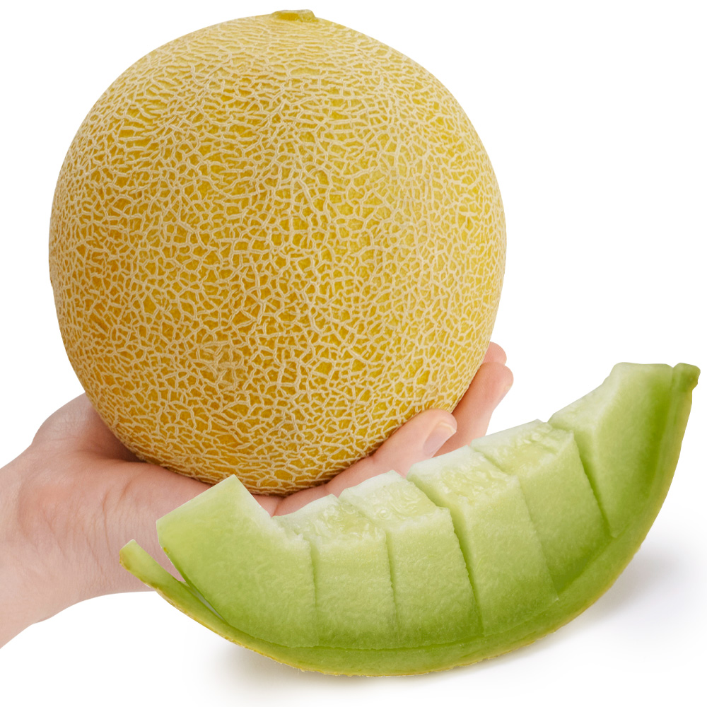 種 野菜たね メロン F1ガリアメロンJP 1袋（5粒）